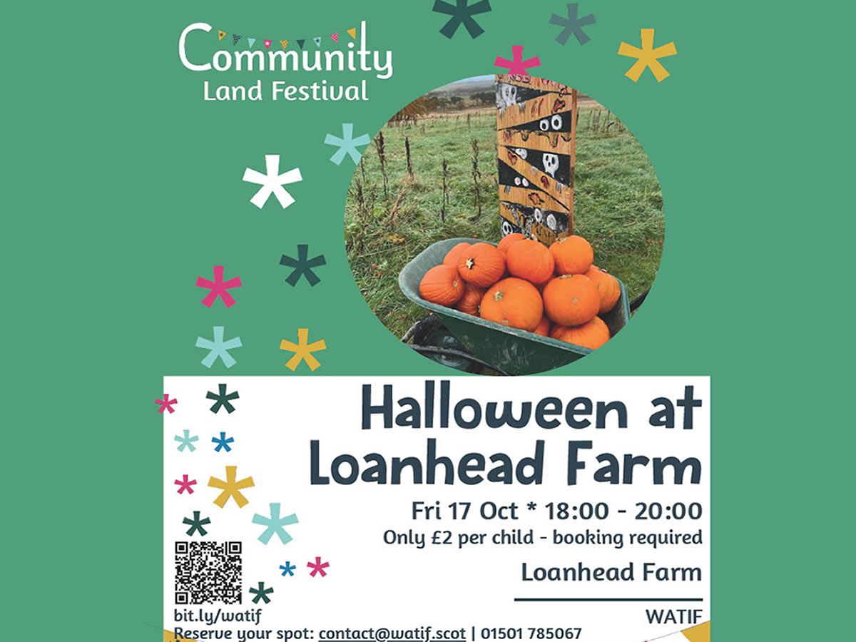 Halloween at Loanhead Farm