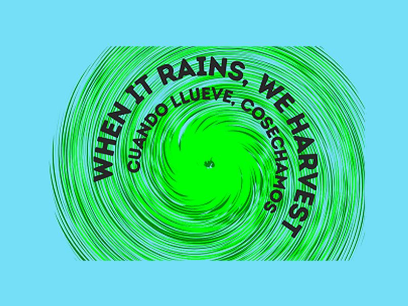 Exhibition: When It Rains, We Harvest: Cuando Llueve, Cosechamos