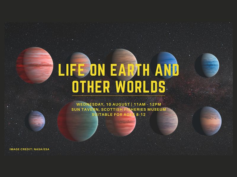 Life on Earth and Other Worlds