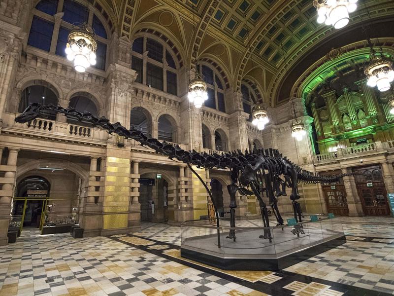 Dippy on Tour, A Natural History Adventure, is now open at Kelvingrove!