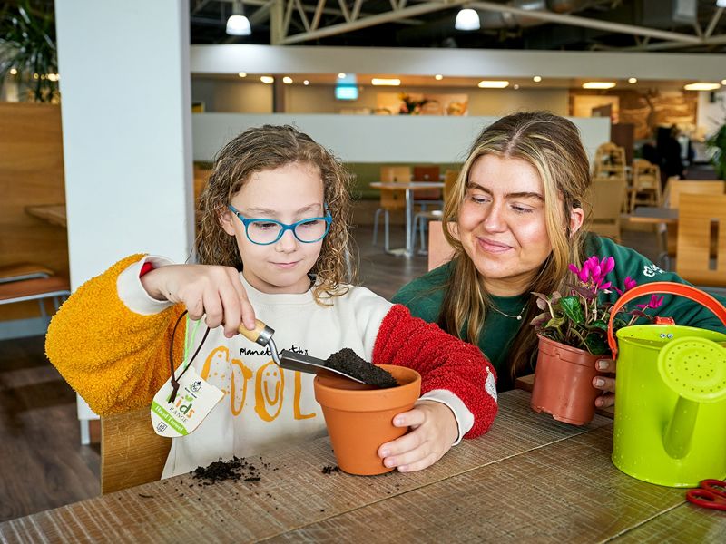 Cast a spell with Dobbies this Halloween