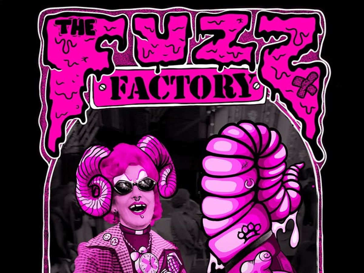 The Screaming Seagulls & The Reverse Cowgirls Live at The Fuzz Factory