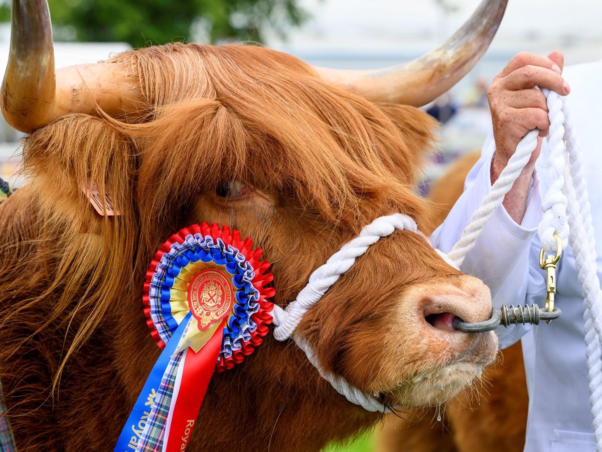 The Royal Highland Show