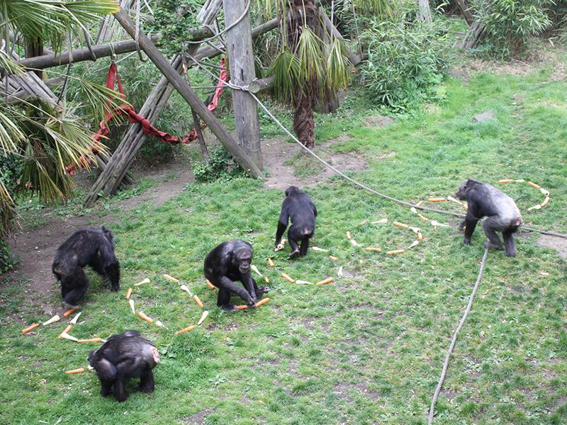 Peoples Postcode Lottery funding milestone for Royal Zoological Society of Scotland