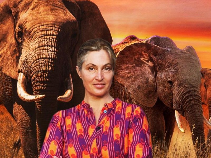 Saba Douglas-Hamilton: In The Footsteps of Elephants