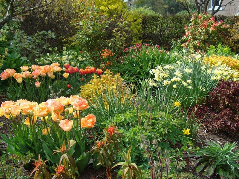 Scotland’s Gardens Scheme Open Garden: Willowhill