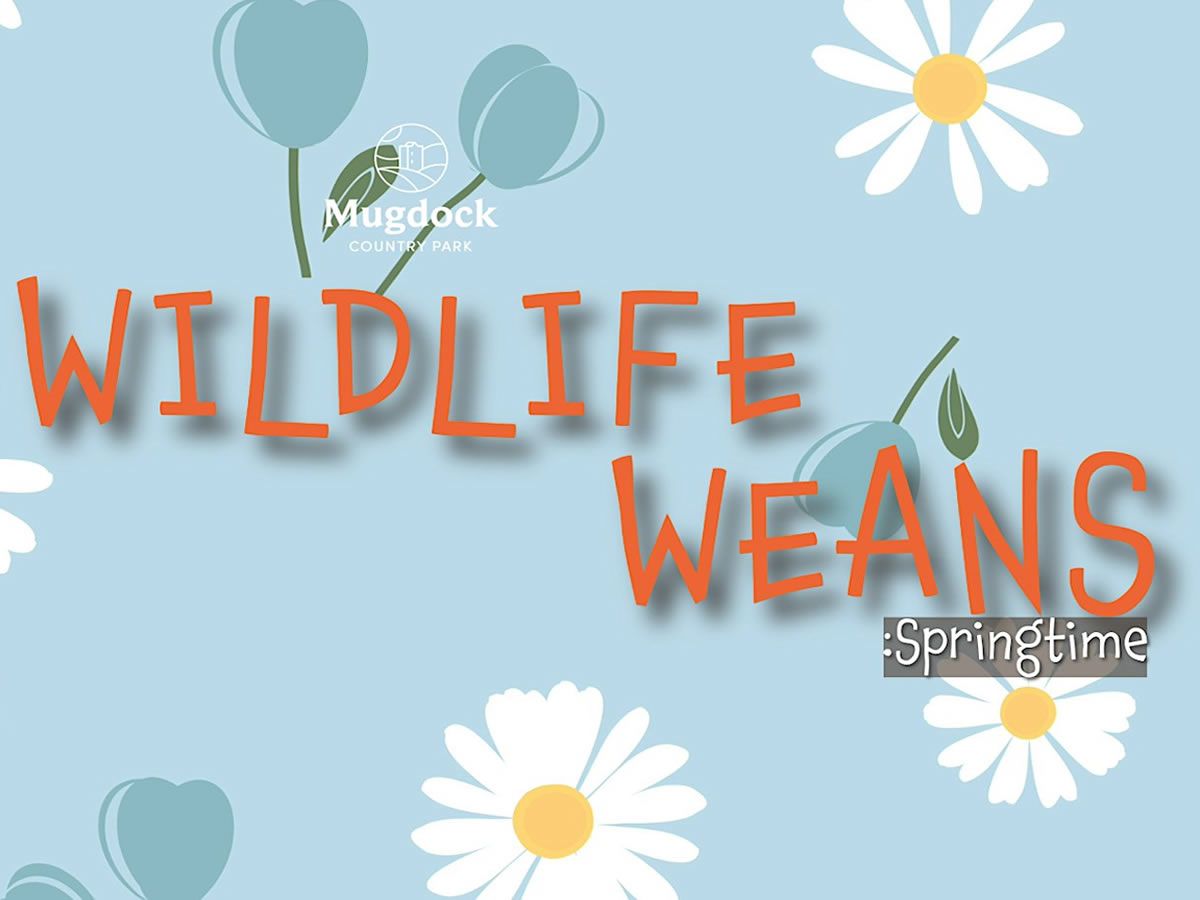 Wildlife Weans: Run, Rabbit Run!