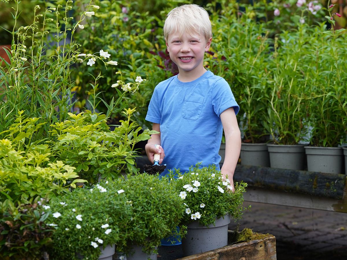 Free gardening workshops for kids return to Dobbies