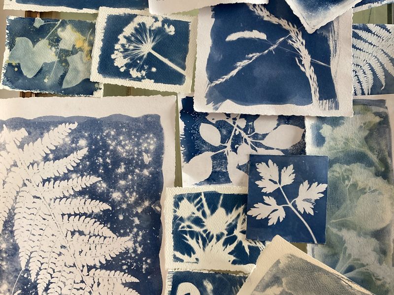 Cyanotype Printmaking - Paper & Textiles