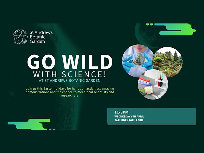 Go Wild With Science!