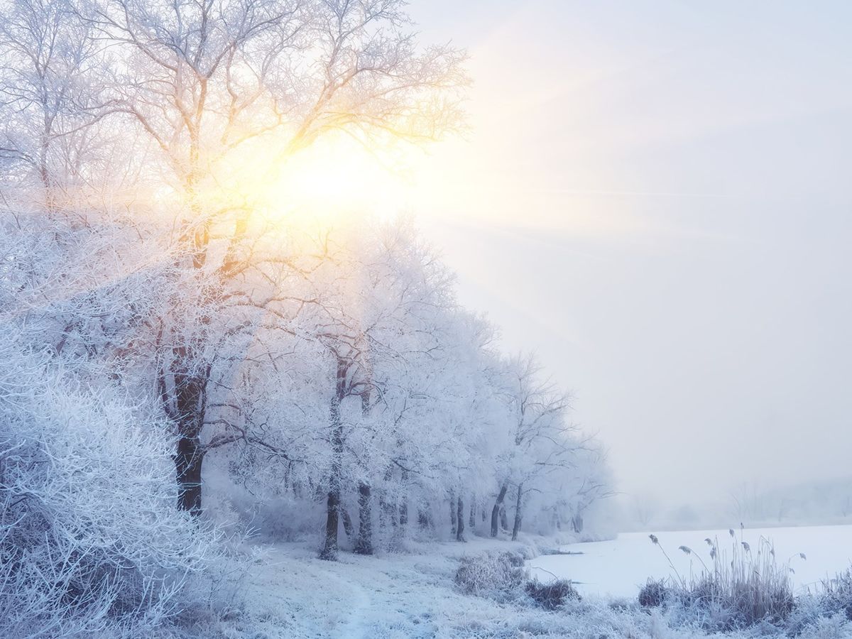 Wintering Well: Living With SAD Exhibition