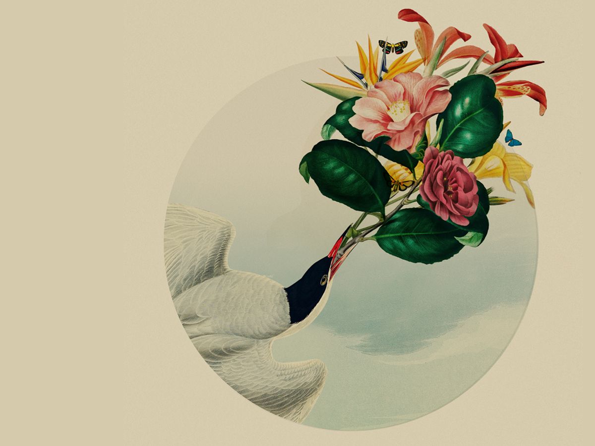 Letters to the Future