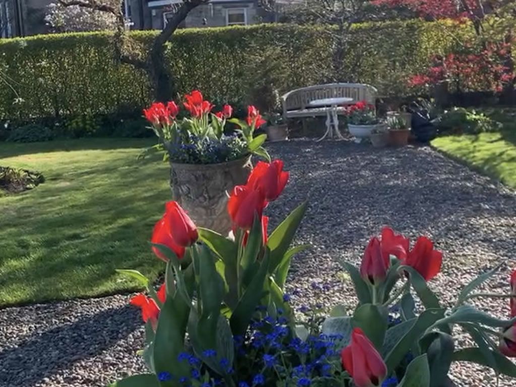 Scotland’s Gardens Scheme Open Garden: 3 Southfield Crescent