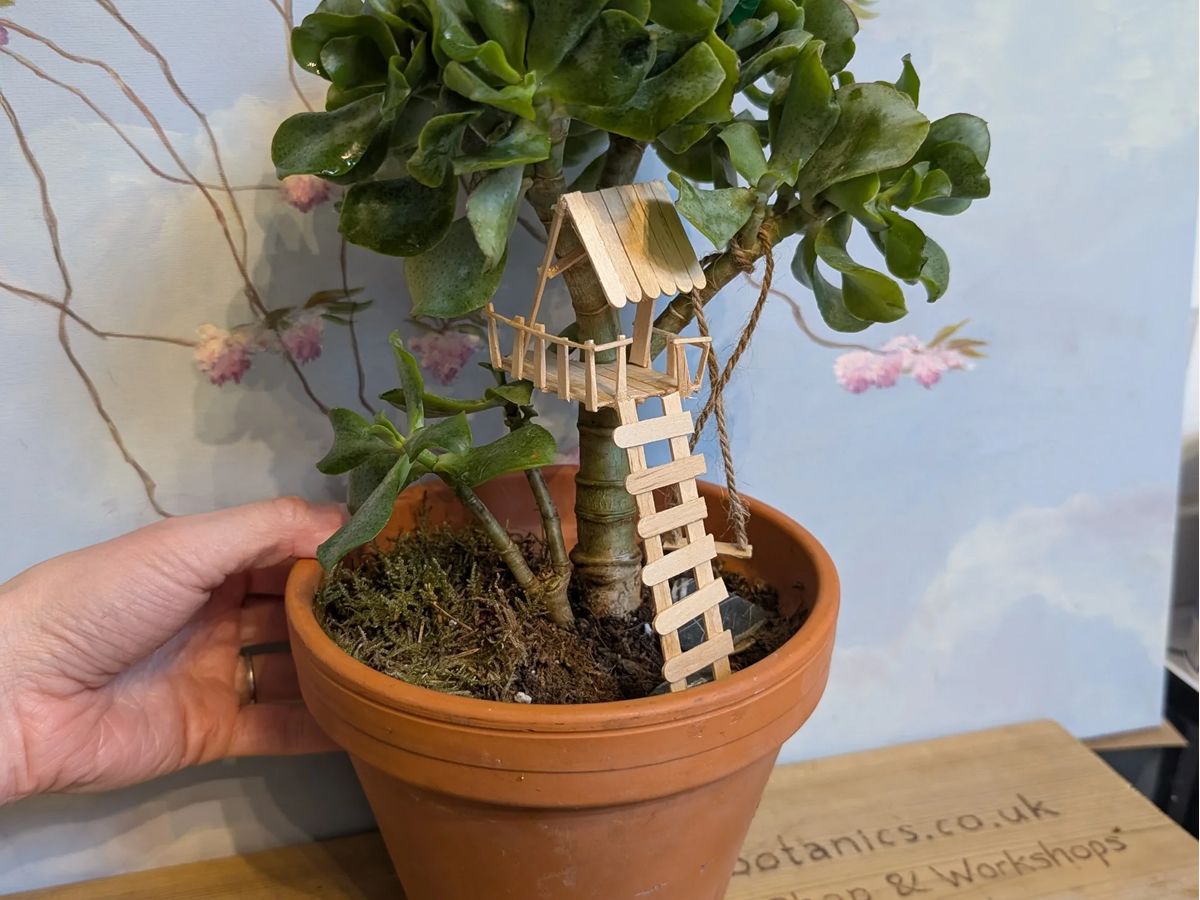 Model Tree House For Houseplants Workshop