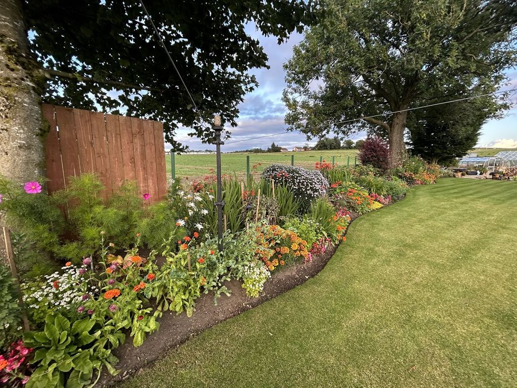Scotland’s Gardens Scheme Open Garden: Stobwood Cottage Garden