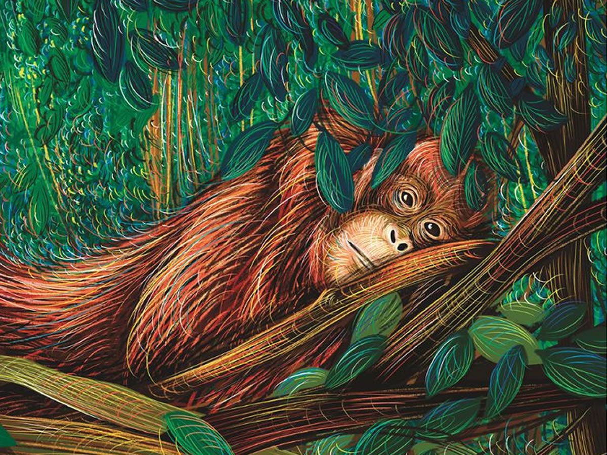 Heure du conte “Les animaux et leur habitat”