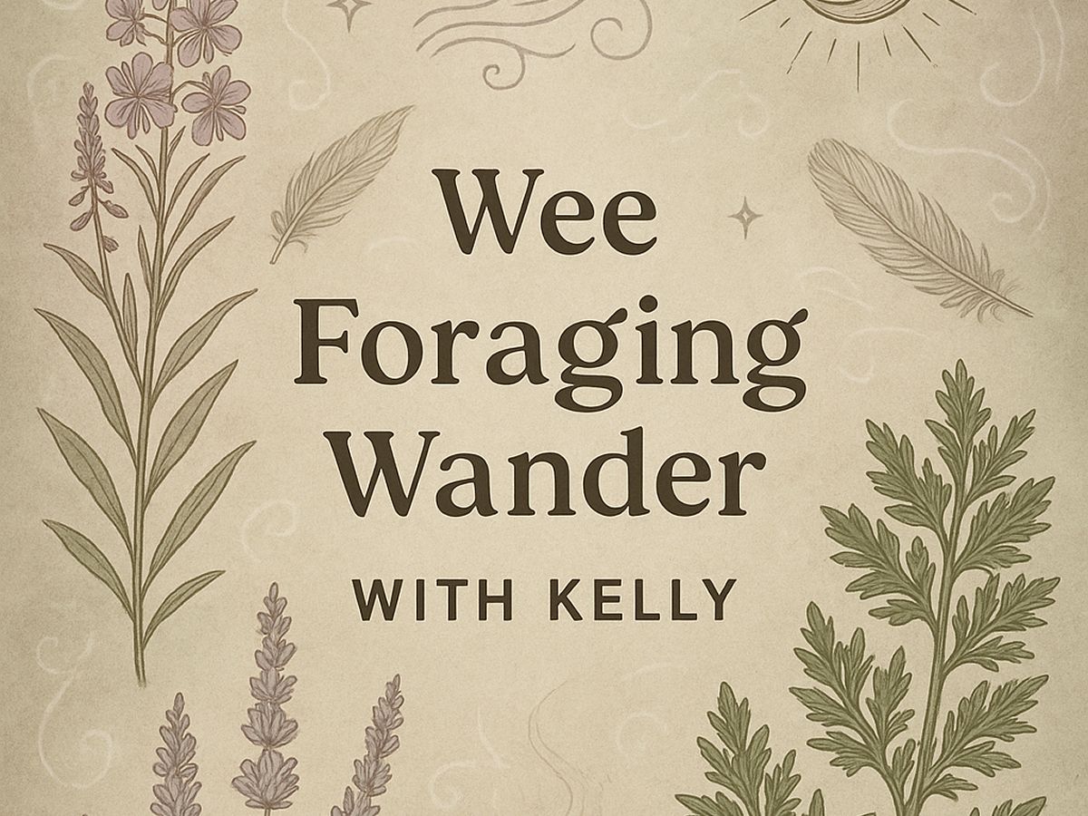 Wee Foraging Wander