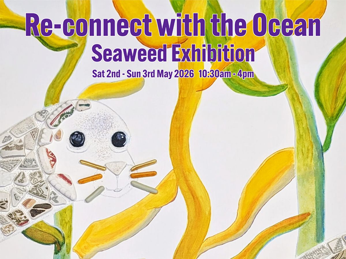 Re-connect with the Ocean, Seaweed Exhibition and Events