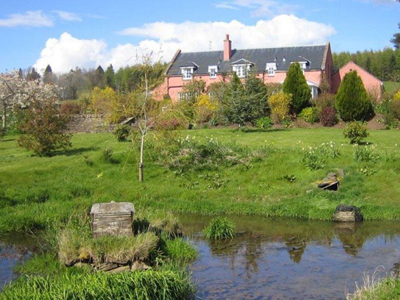 Scotland’s Gardens Scheme Open Garden: Dunblane Gardens