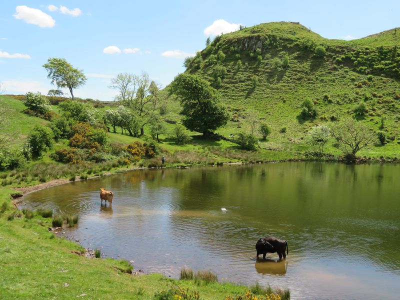 Explore East Ren News What's On East Renfrewshire