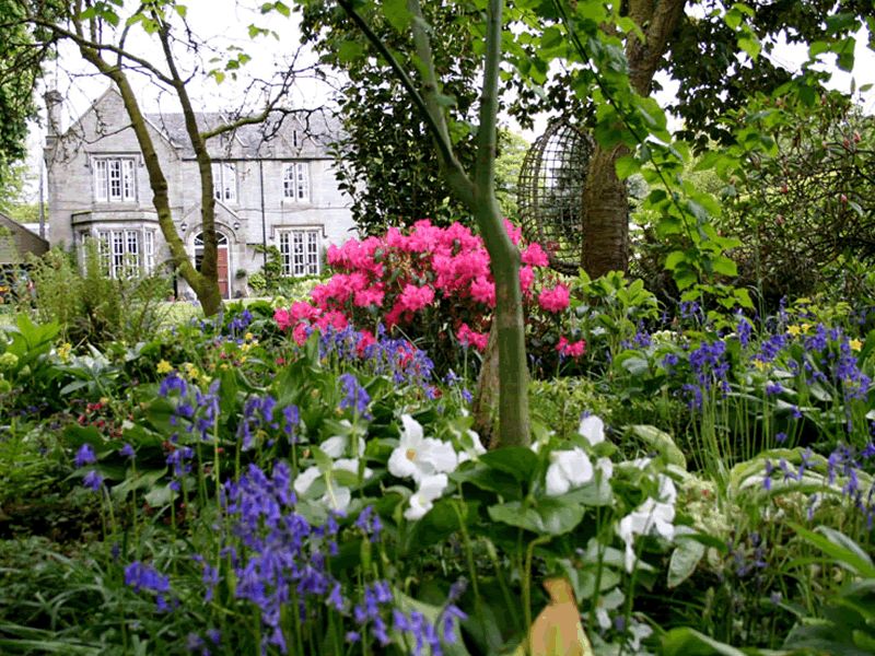 Scotland’s Gardens Scheme Open Garden: Kirklands Garden