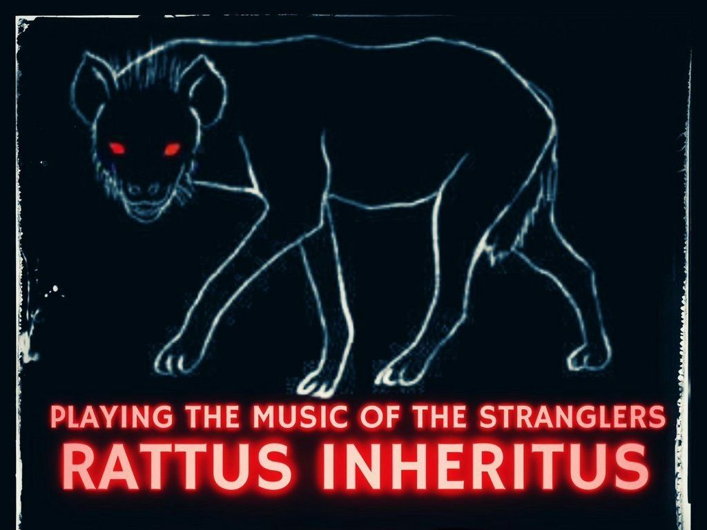 Rattus Inheritus play The Stranglers