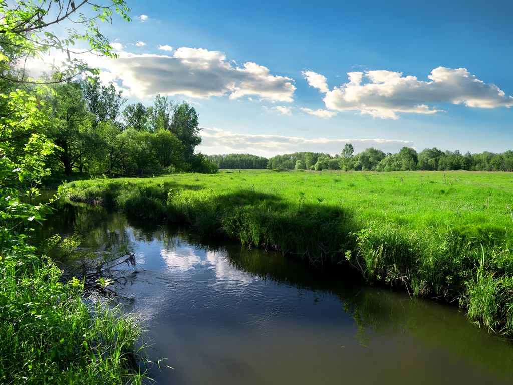 Call for volunteers to help restore riverbanks