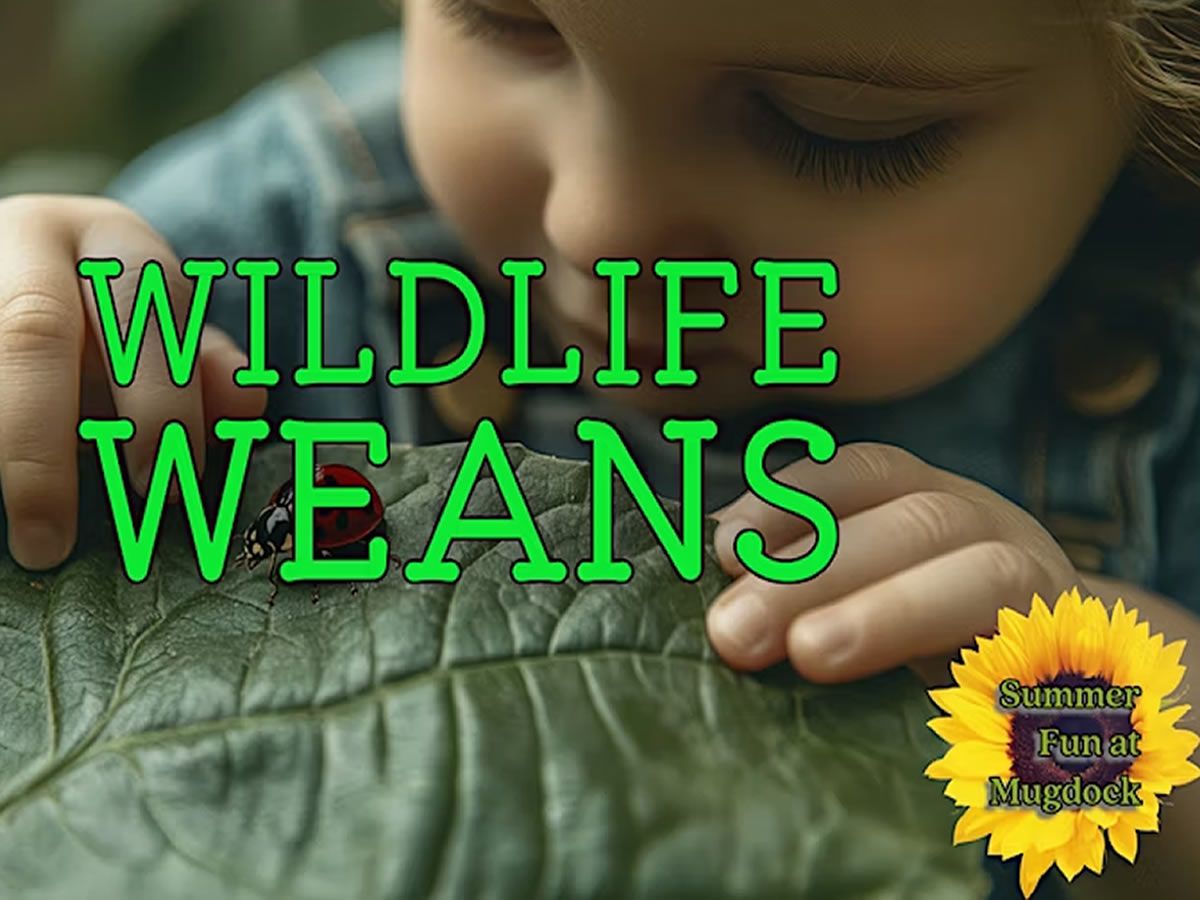 Wildlife Weans: Dens & Camouflage