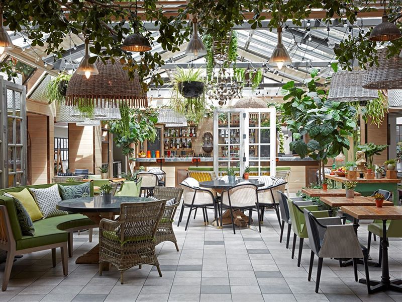 Kimpton Charlotte Square celebrates Earth Day Plant Pal Programme