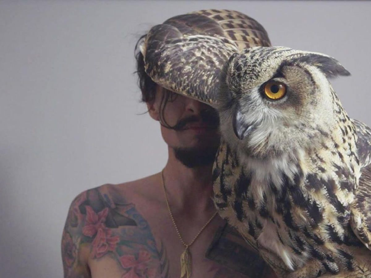 Justin Hawkins Rides Again... Again