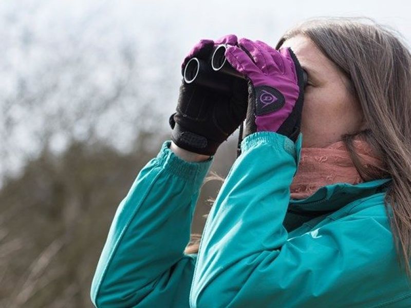 Birding For Beginners at RSPB Lochwinnoch Nature Reserve, Lochwinnoch ...