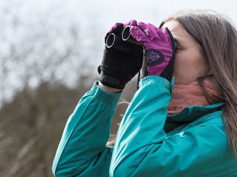 Birding & Birdsong for Beginners