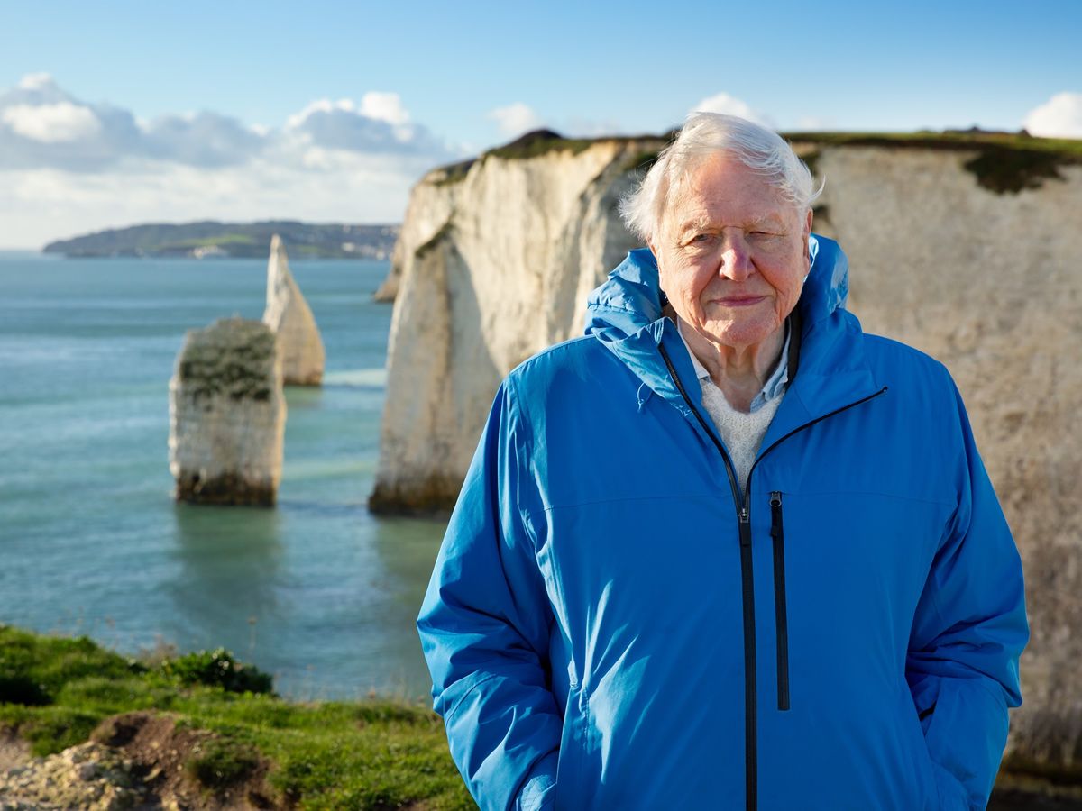 David Attenborough and Eurovision steal the spotlight at Vue venues in Scotland this month