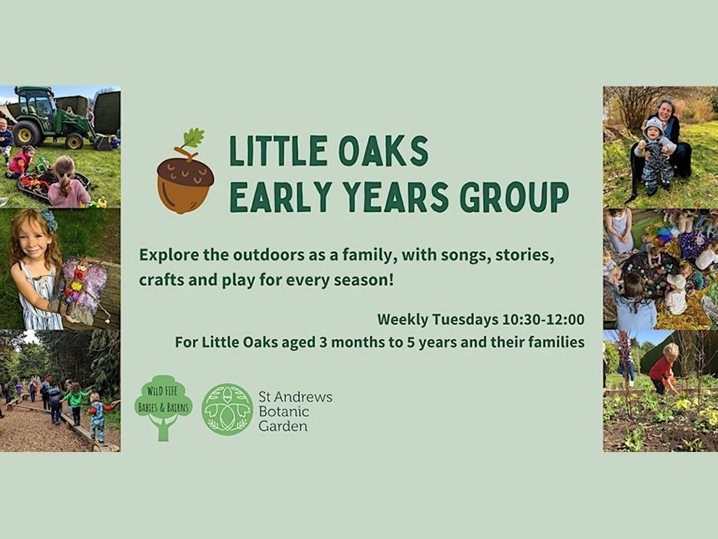 Little Oaks Early Years Group