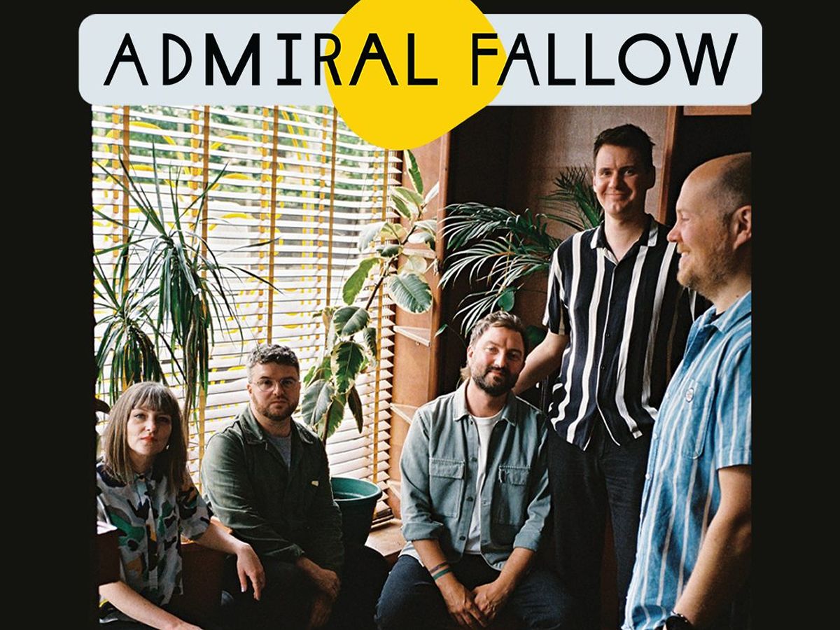 Admiral Fallow