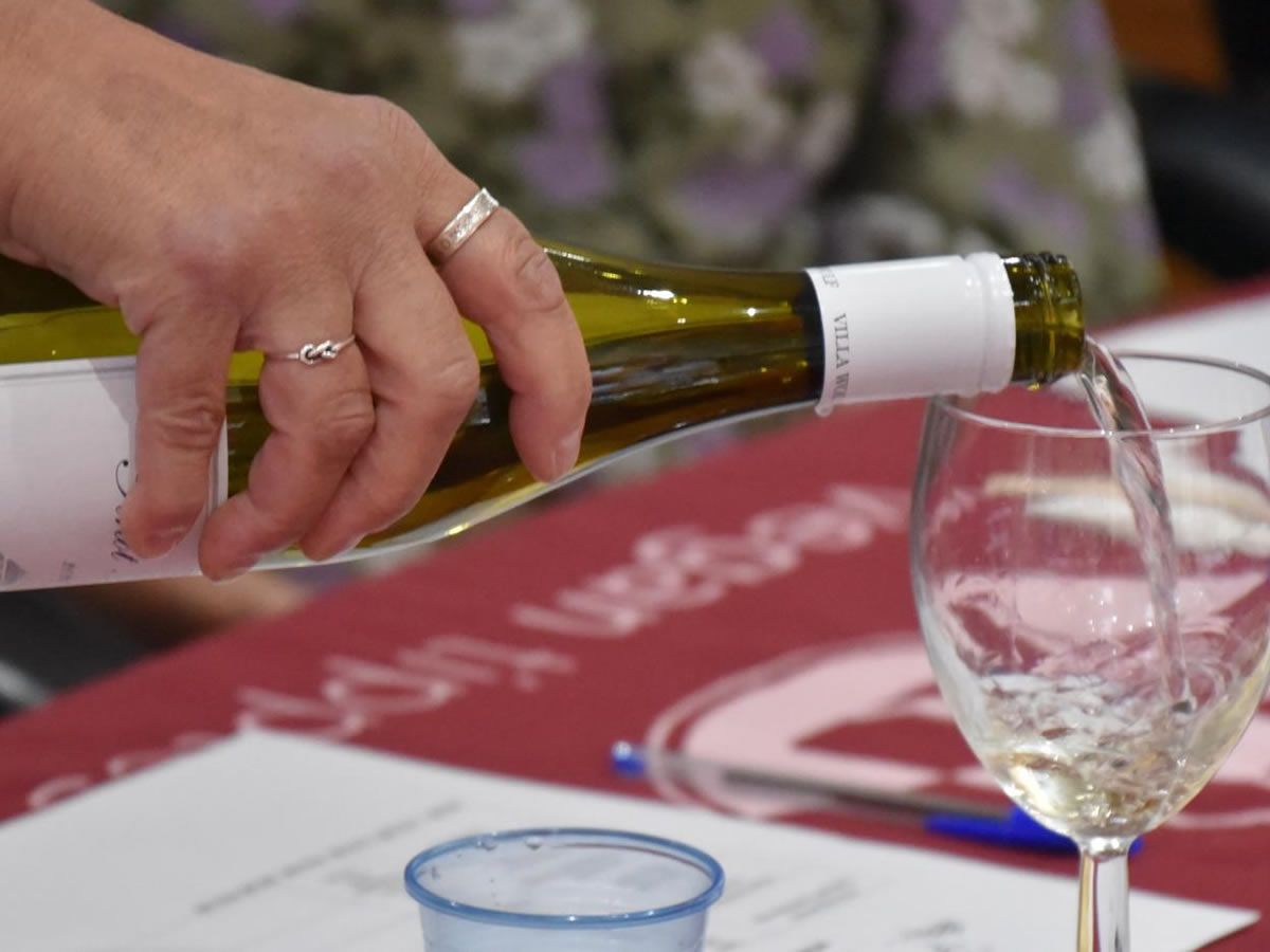 Wine Tasting in Edinburgh City Centre