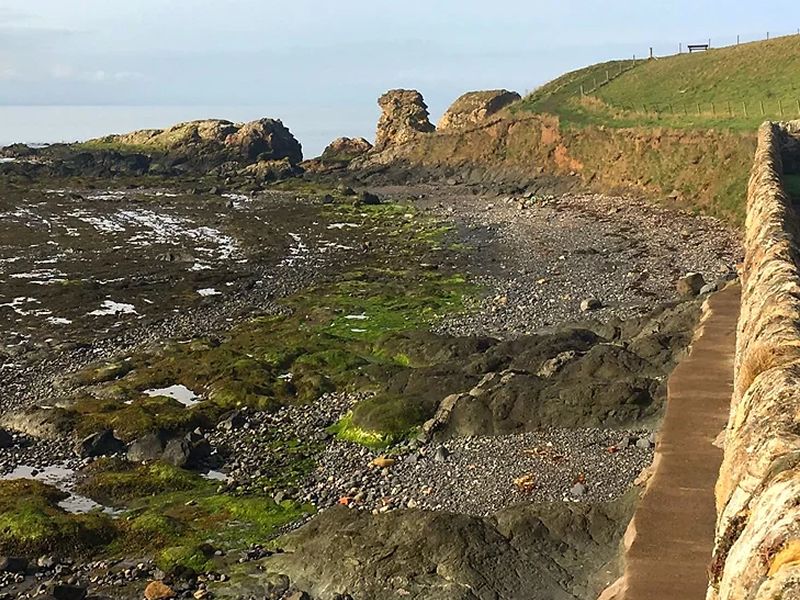 Follow the Seagulls Fife 2023, Various Locations Fife What's On Fife