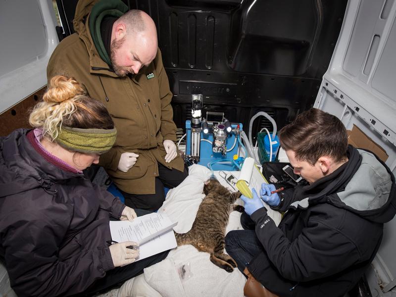 The RZSS and National Museums Scotland contribute to First Zoological Biobank in UK