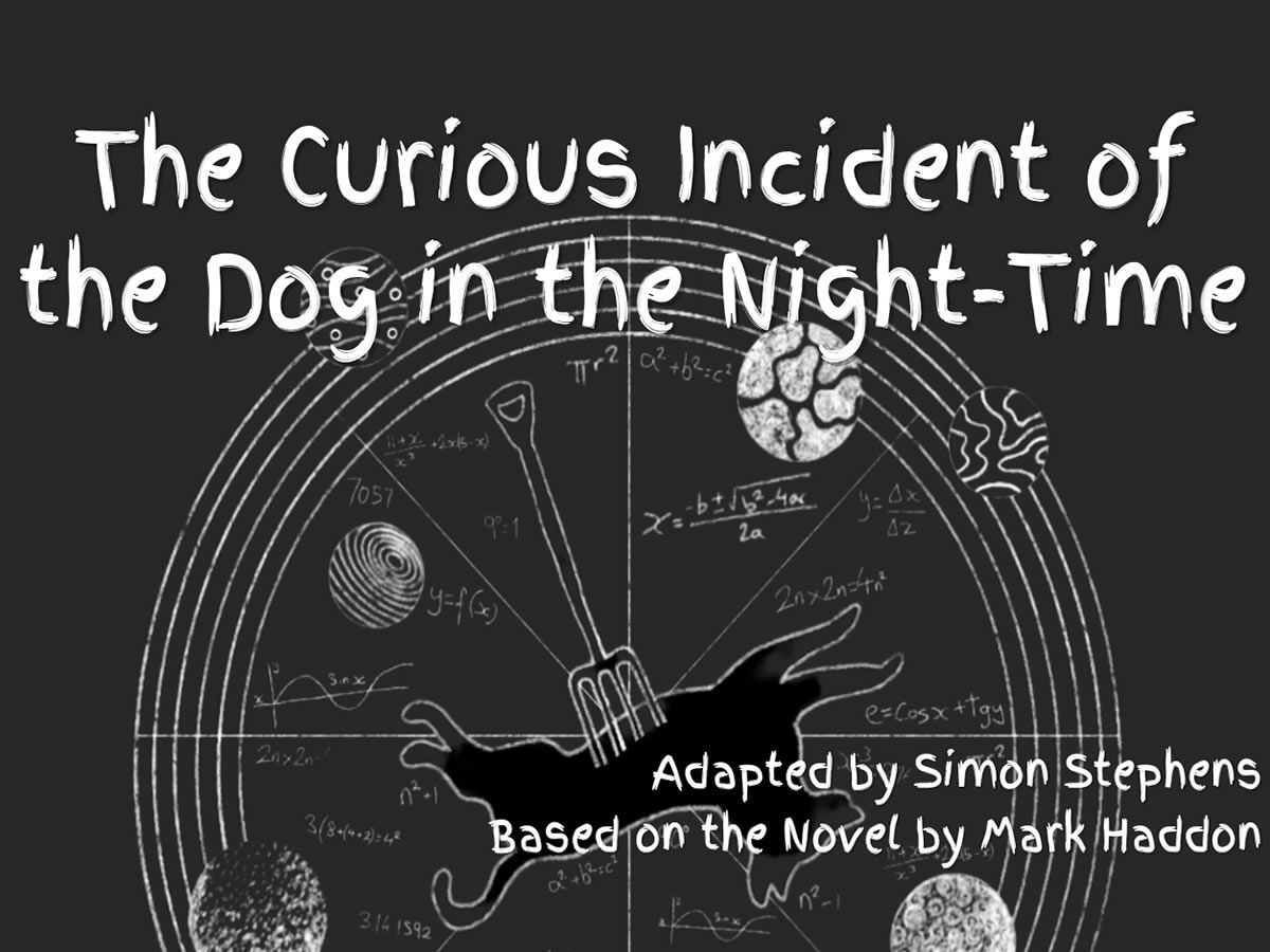 The Curious Incident of the Dog in the Night-Time