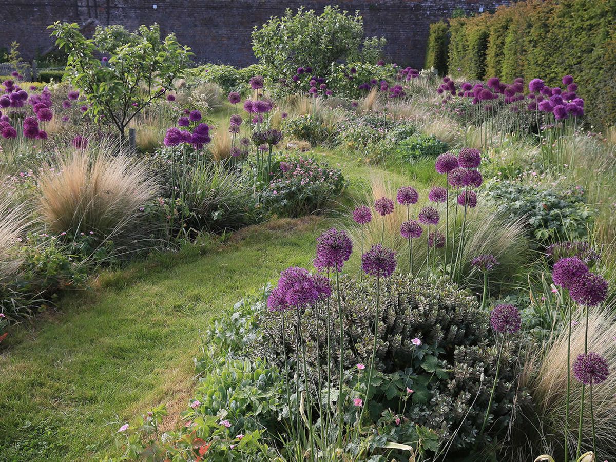 Scotland’s Gardens Scheme Open Garden: The Gardens at Archerfield Walled Garden