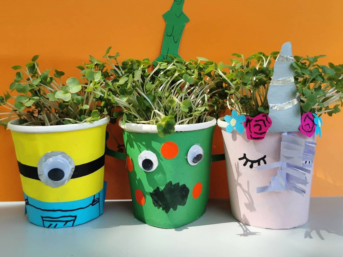 Science and Nature Crafts