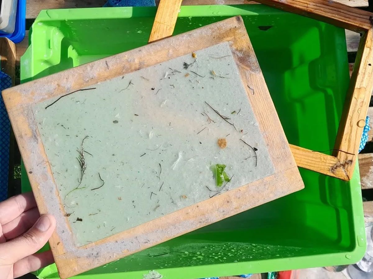 Handmade Paper Making