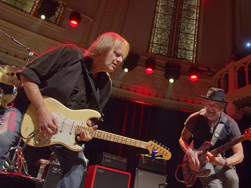 Walter Trout