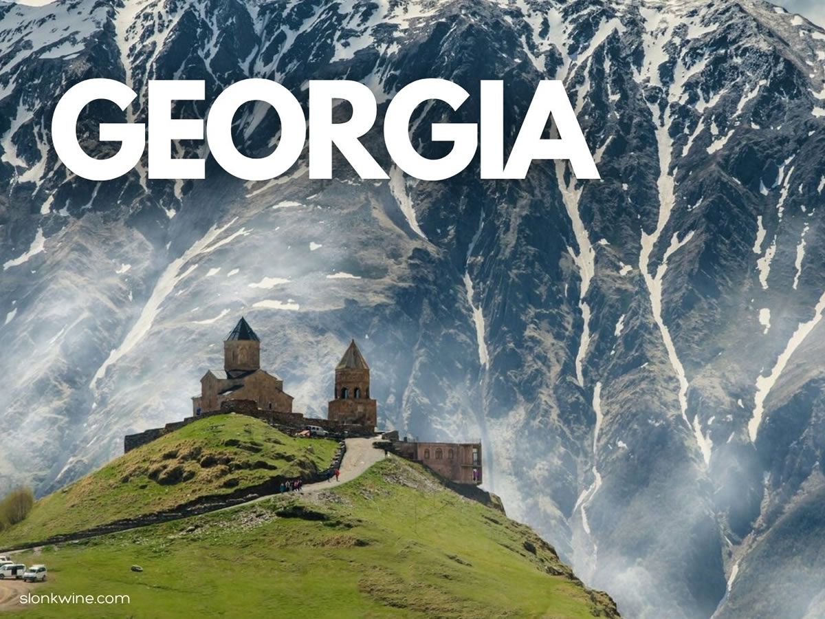 Georgian Wine Tasting!