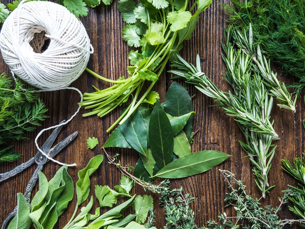 The Herb Garden at Provand’s Lordship - A Haven for Nature