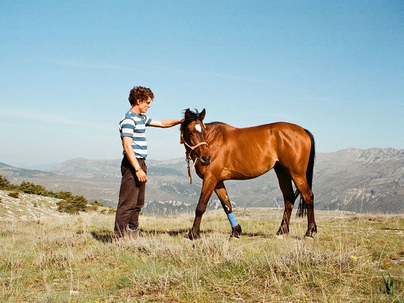 Louis Hall: The Big Hoof: Horse Trail Across the Ligurian Alps