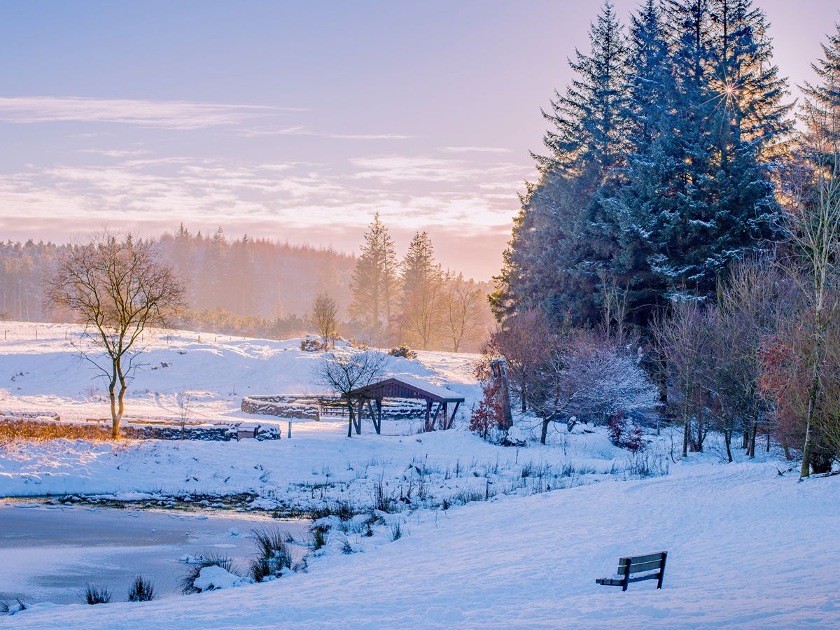 Winter magic sought for West Lothian country parks