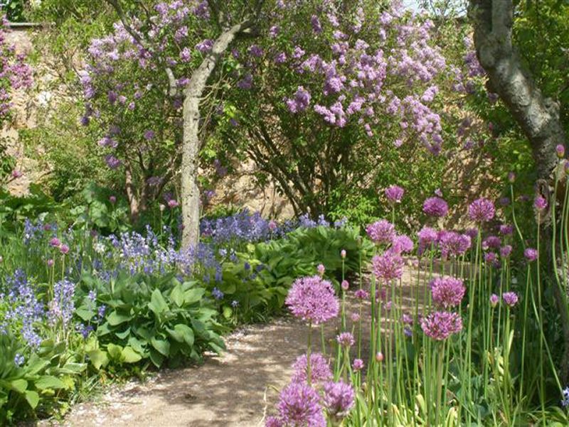 Scotland’s Gardens Scheme Open Garden: Cambo Gardens