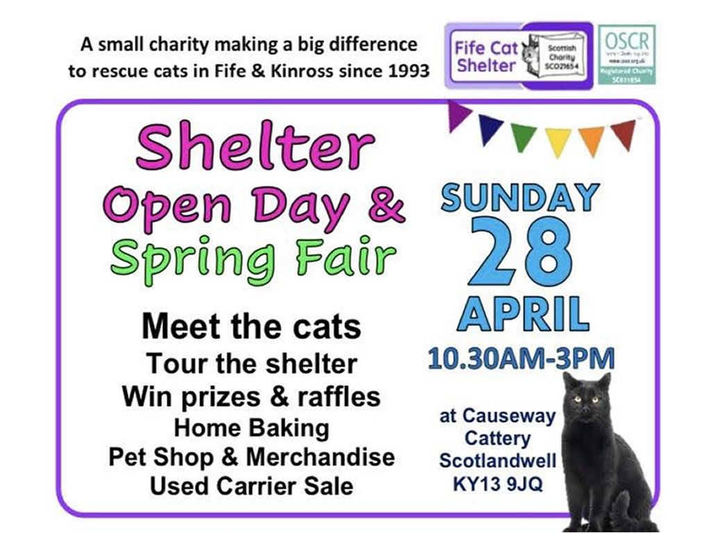 Fife Cat Shelter Open Day & Spring Fair