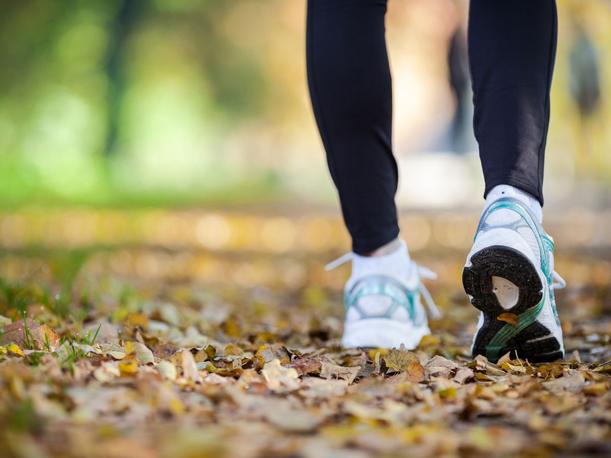 City Wellbeing Walk